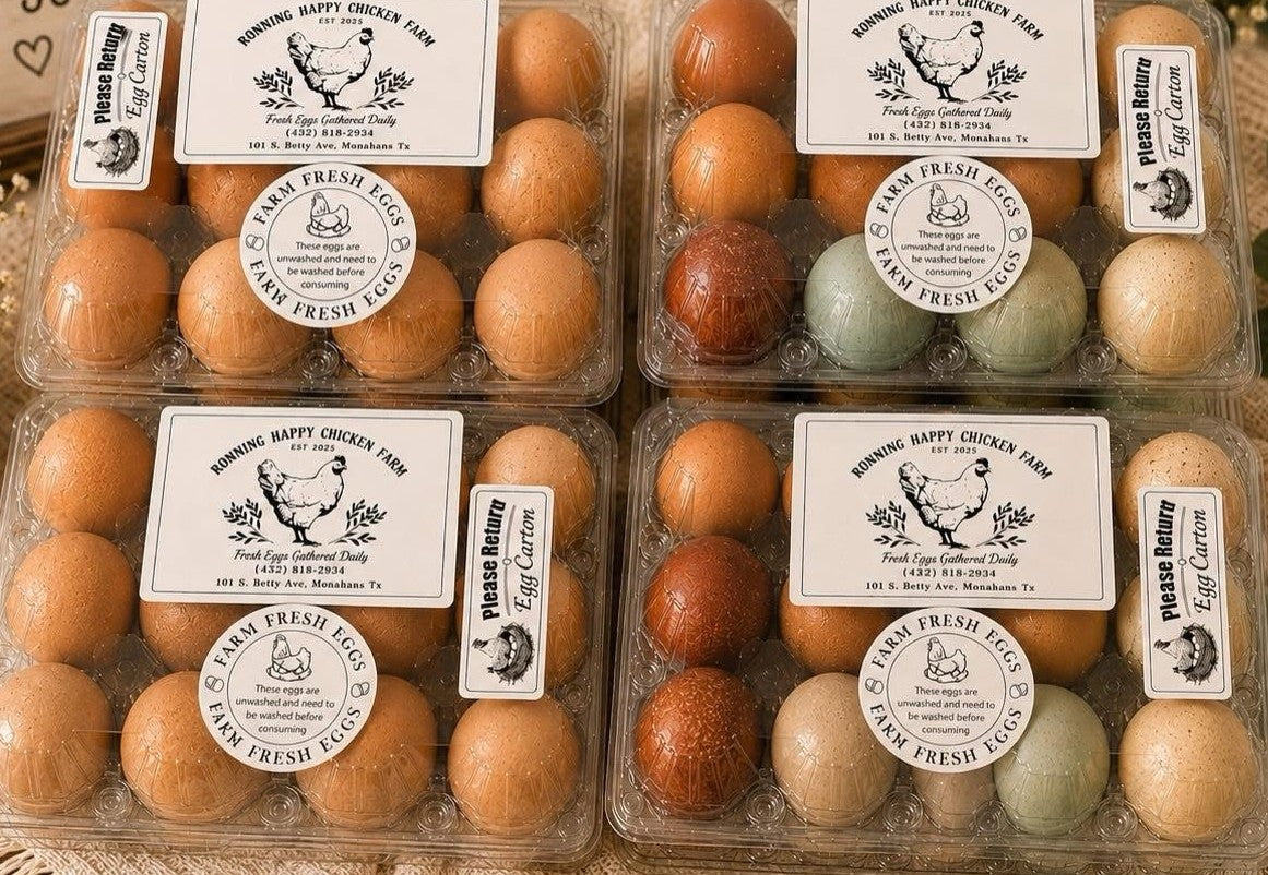 Dozen Eggs